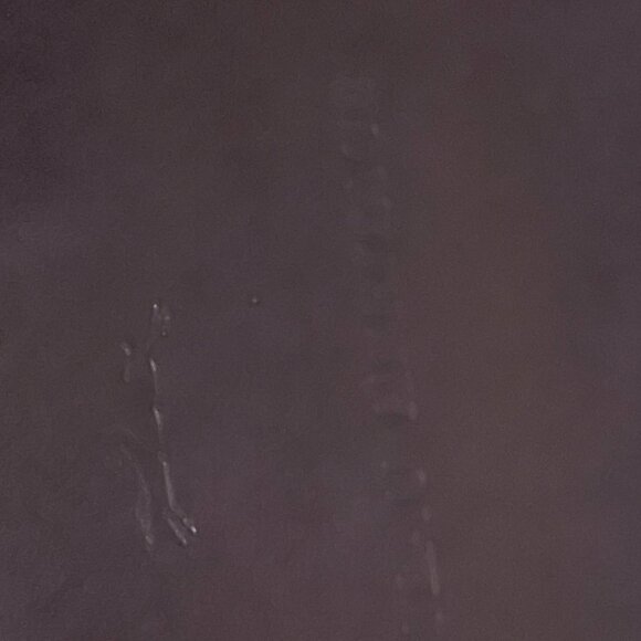 Longchamp Le Roseau Tote Leather Shoulder Bag - Picture 10 of 11